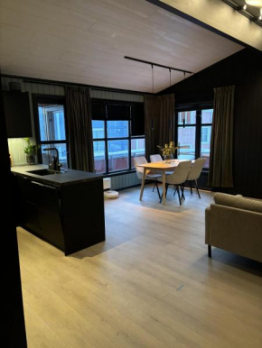 Cozy central apartment with free parking Tromsø island